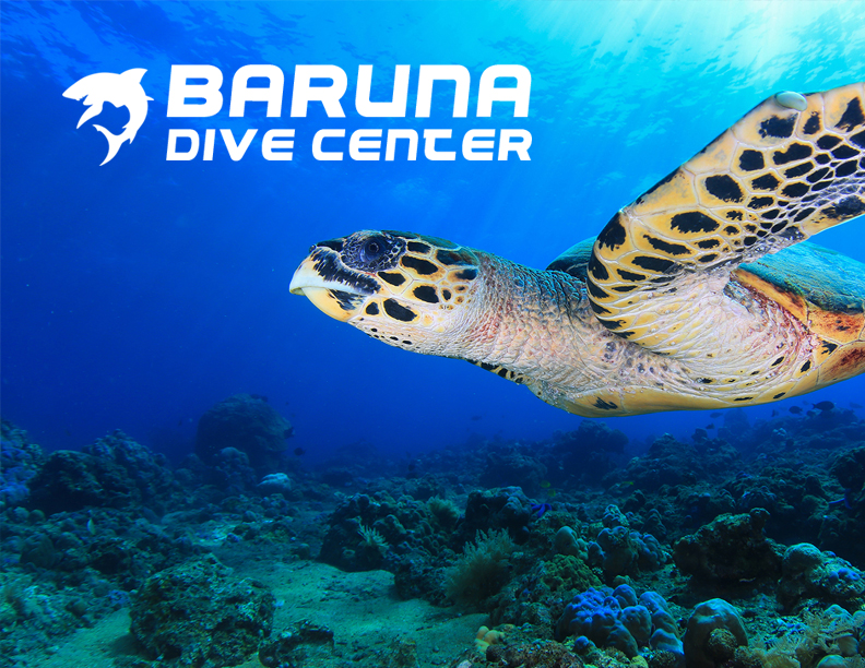 Baruna Dive Center